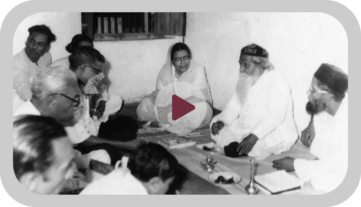 ভিডিও