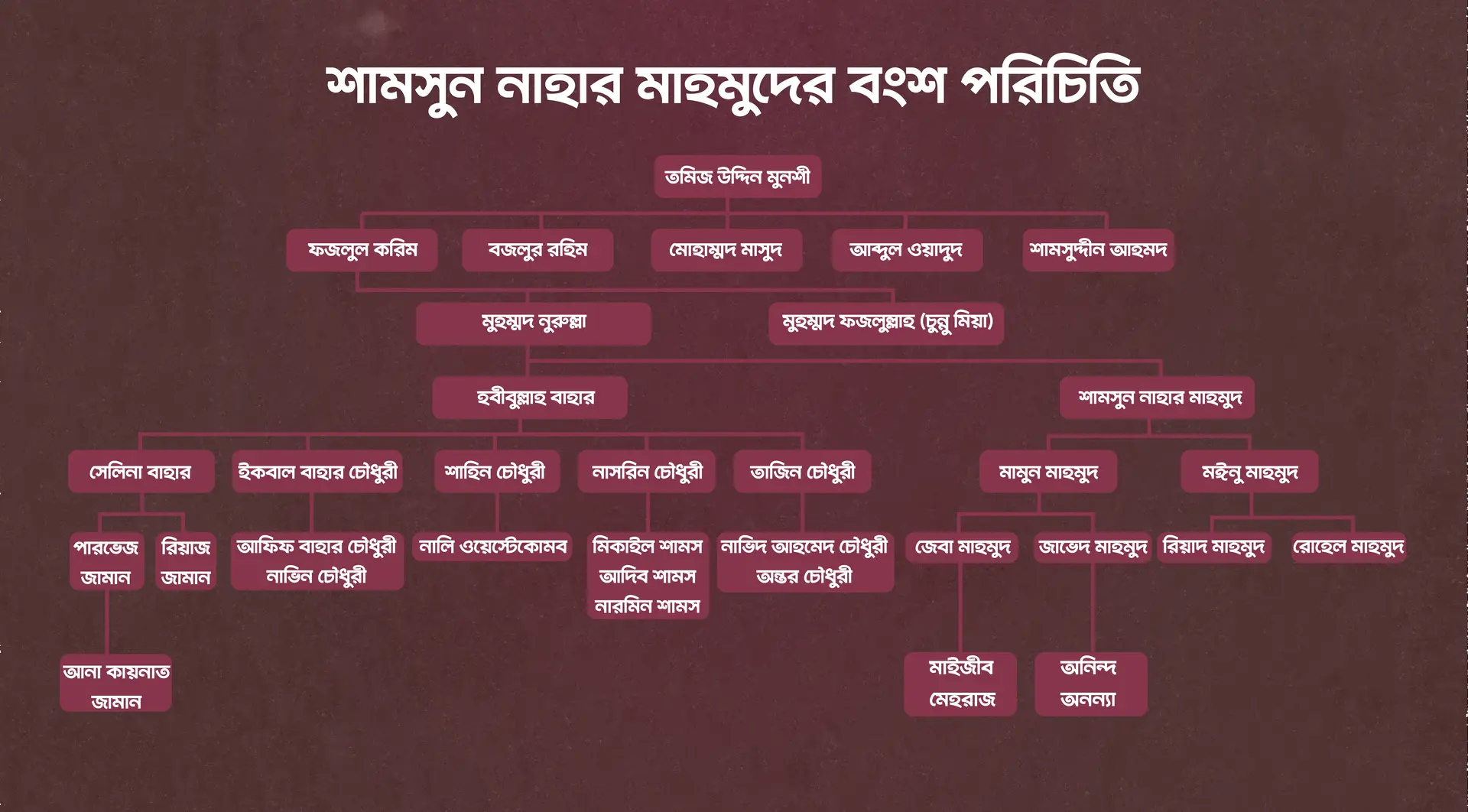 শামসুন্নাহার মাহমুদের বংশ পরিচিতি